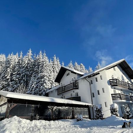 Pensiunea Silvania Statiunea Exteriör bild