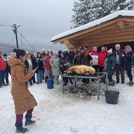 Pensiunea Silvania Statiunea Exteriör bild
